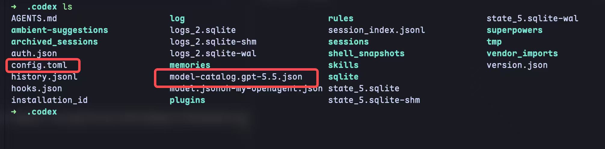 ~/.codex directory listing